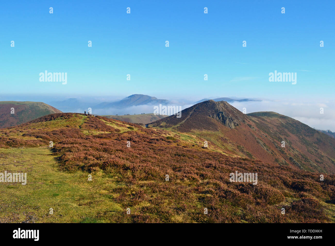 View from The Long Mynd in the Shropshire Hills, UK, with peaks above the clouds. Stock Photo