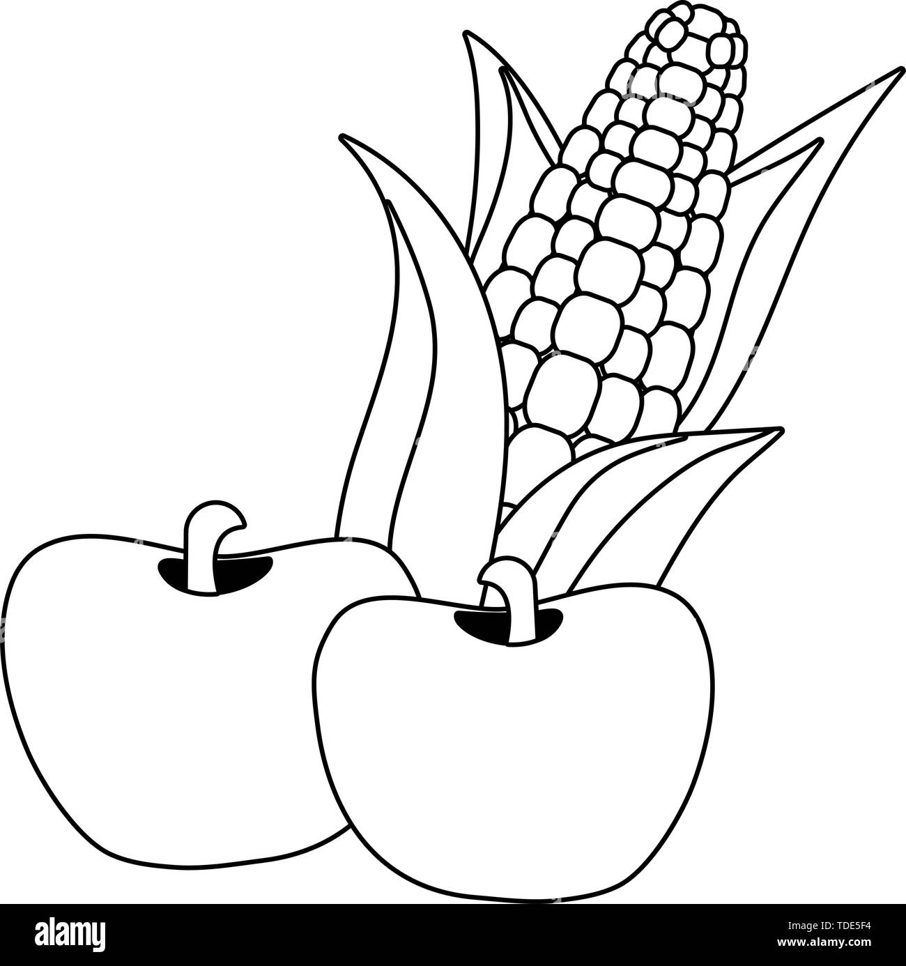 delicious tasty corn with apples cartoon vector illustration graphic design Stock Vector