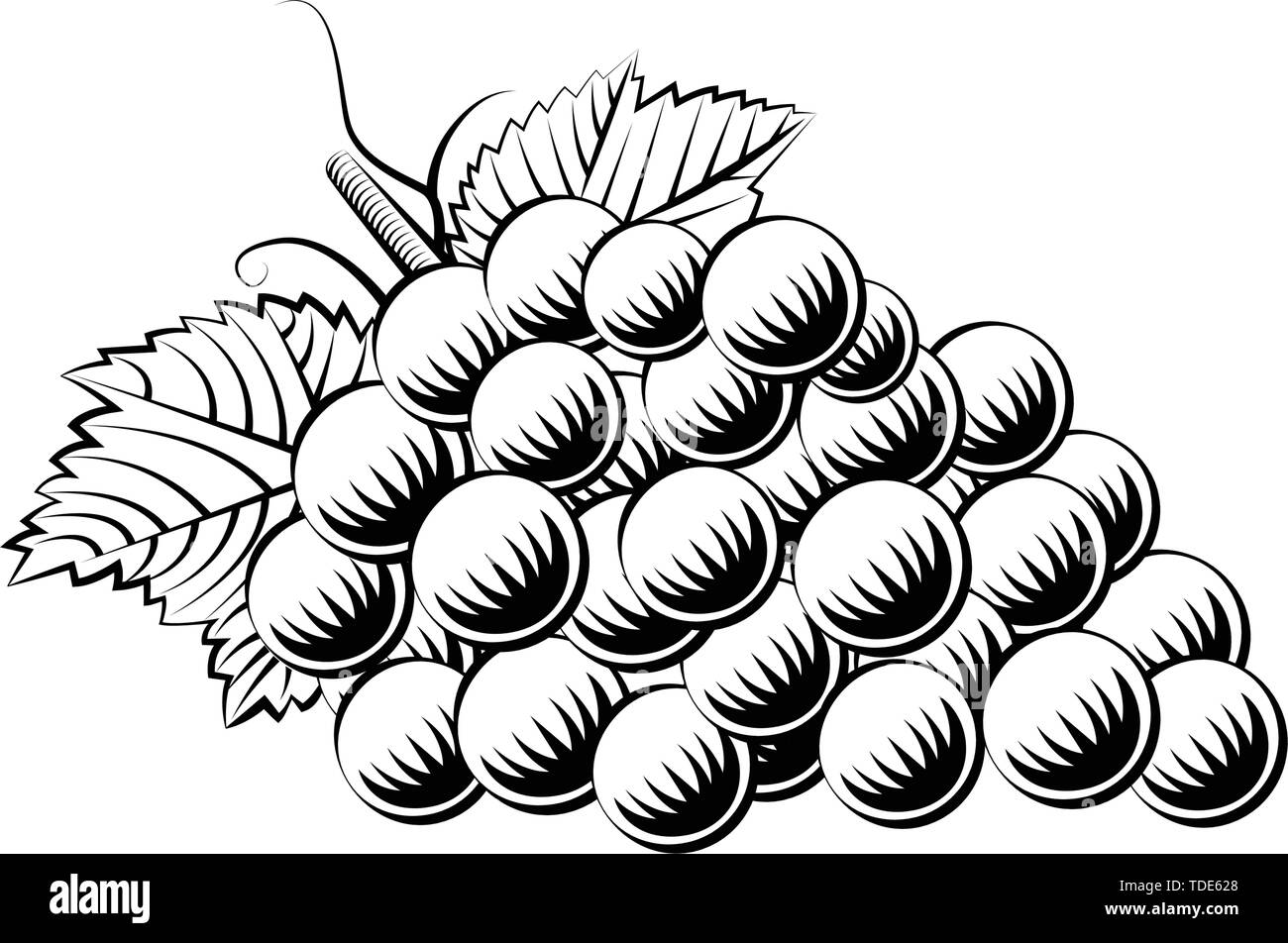 Grapes In Old Line Art Style Stock Vector Image Art Alamy