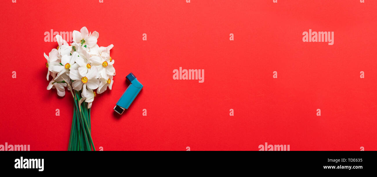 Spring floral background. White narcissus or daffodil flowers and