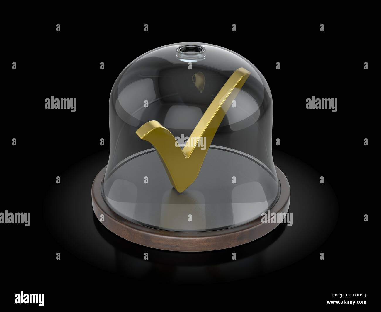 Check symbol under the dome on a black background. 3d illustration ...