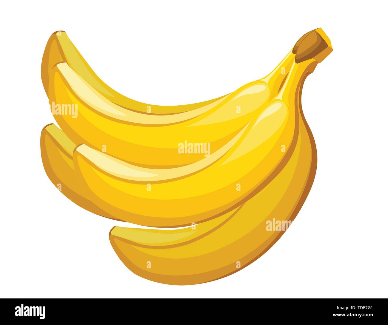 Bunch of yellow bananas edible tropical fruit berry flat vector