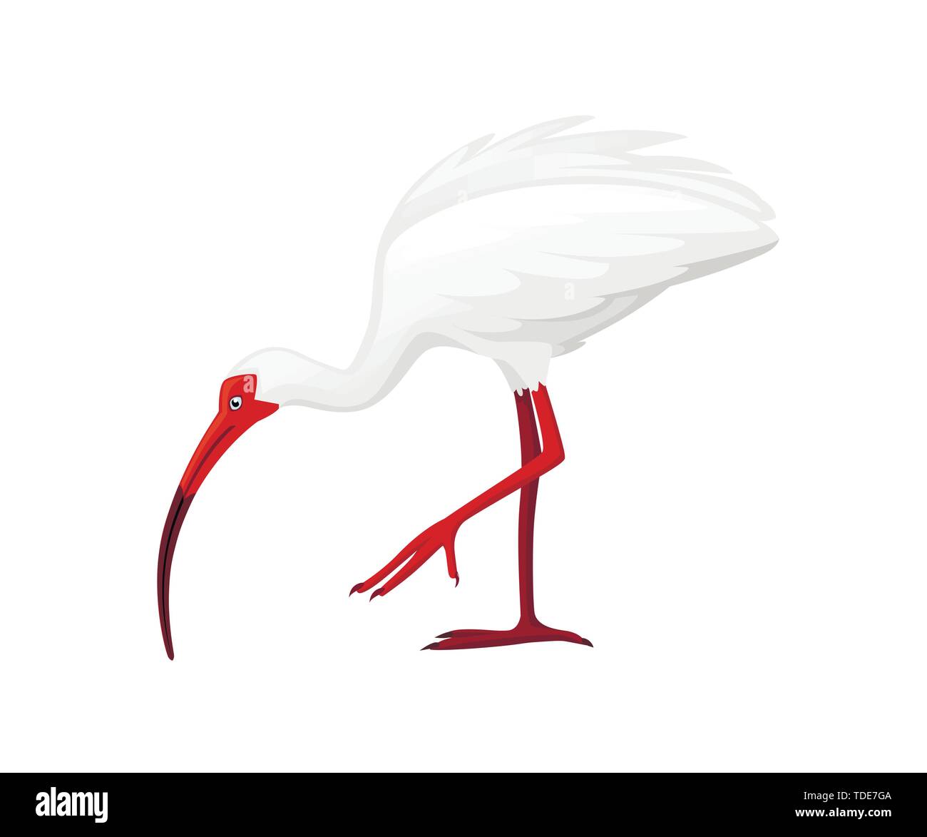 Ibis side view Stock Vector Images Alamy