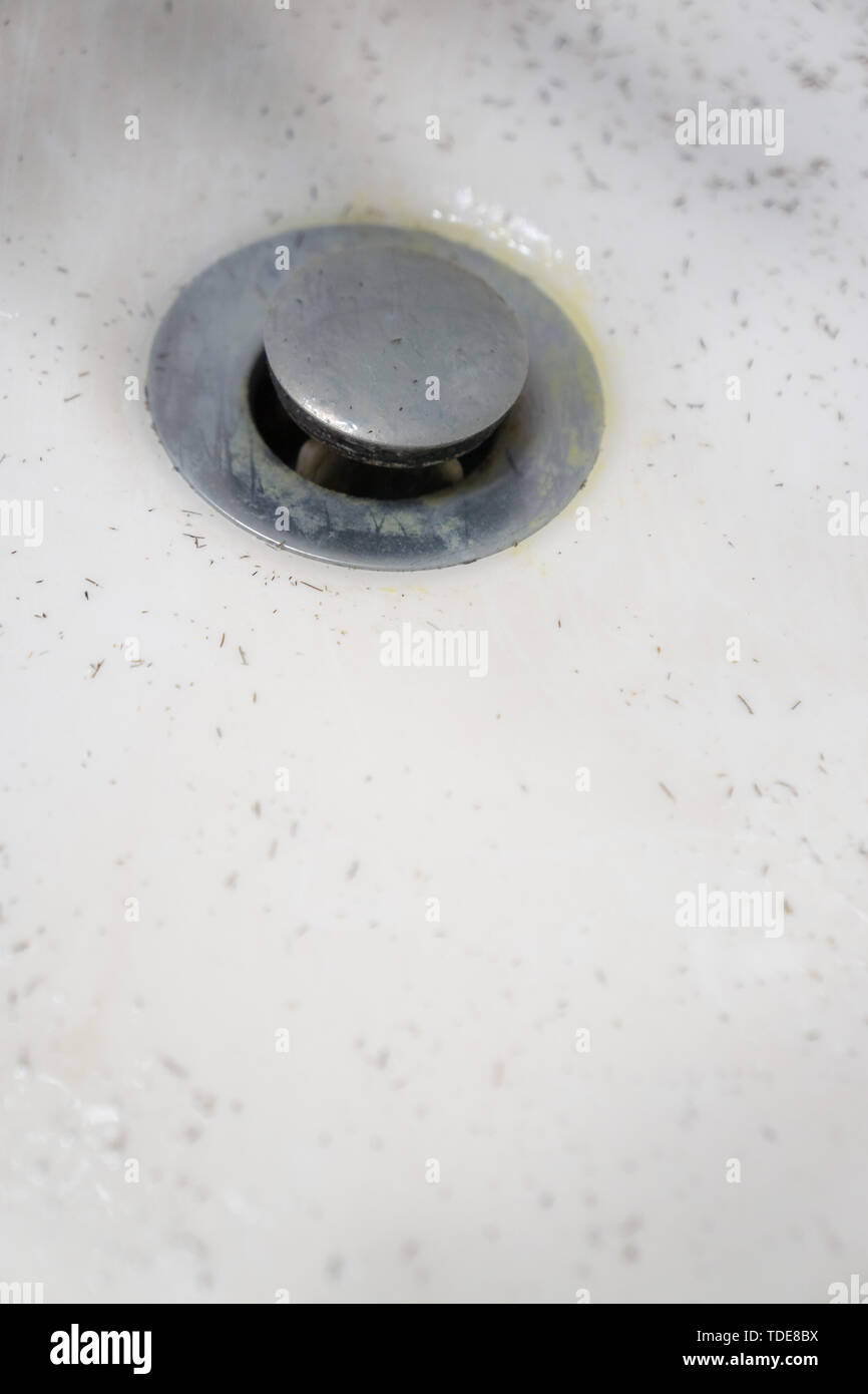 White dirty wash sink basin showing grungy drain with bits of hair. The stopper plug is a filthy nasty gross disgusting chrome stainless steel materia Stock Photo