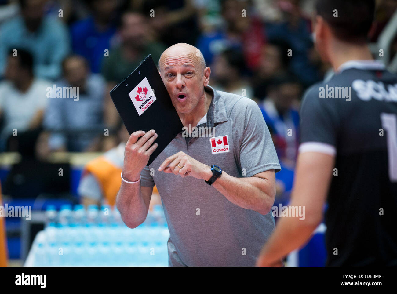 Urmia, Iran. 14th June, 2019. Glenn Hoag, head coach of of Canada reacts during the FIVB Volleyball Nations League match between Iran and Canada in Urmia, Iran, June 14, 2019. Iran won 3-0. Credit: Ahmad Halabisaz/Xinhua/Alamy Live News Stock Photo