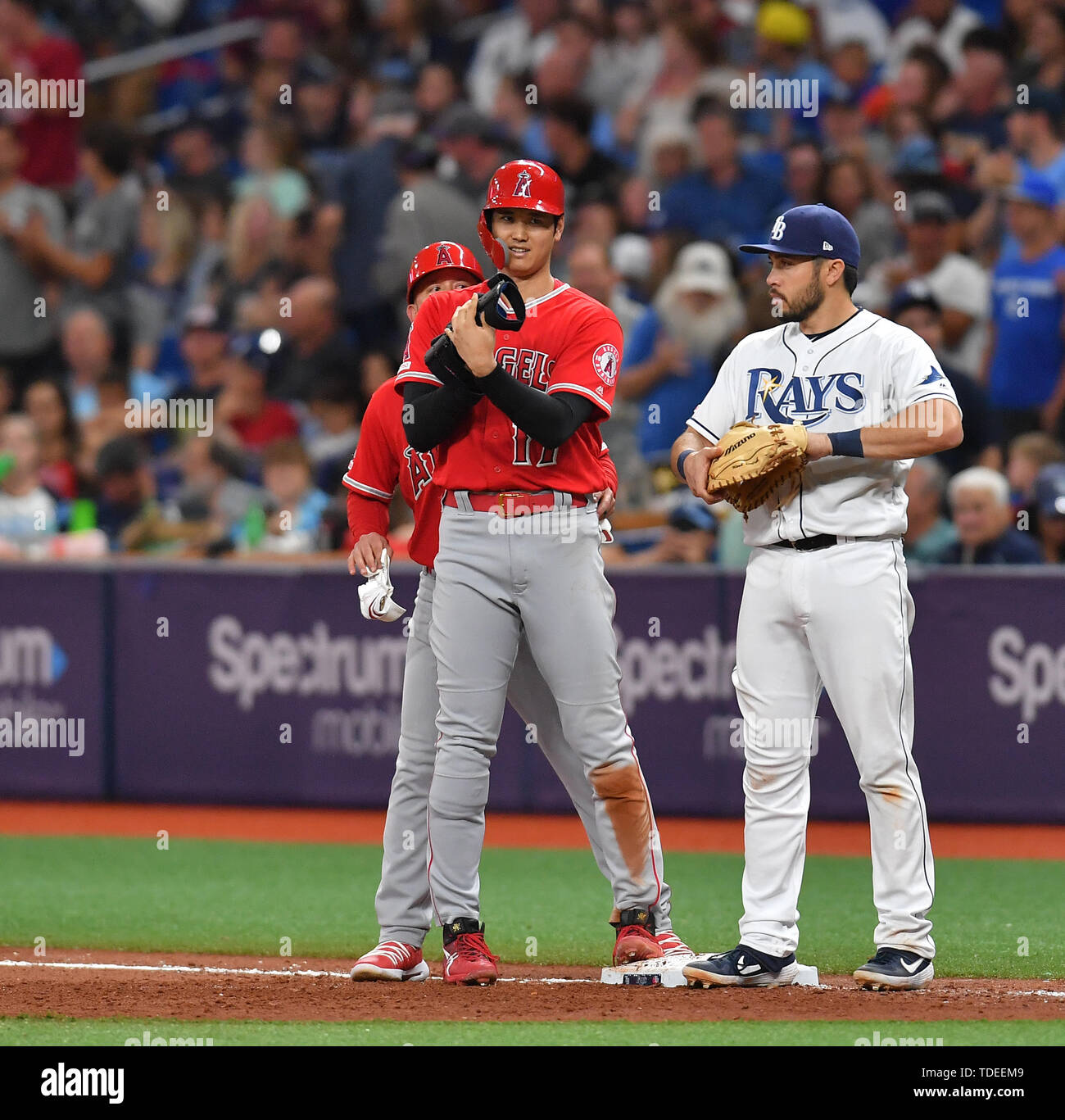 St. Petersburg, FL. USA; Tampa Bay Rays right fielder Brett Phillips (35)  and shortstop Wander Franco (5) celebrate the win after a major league base  Stock Photo - Alamy