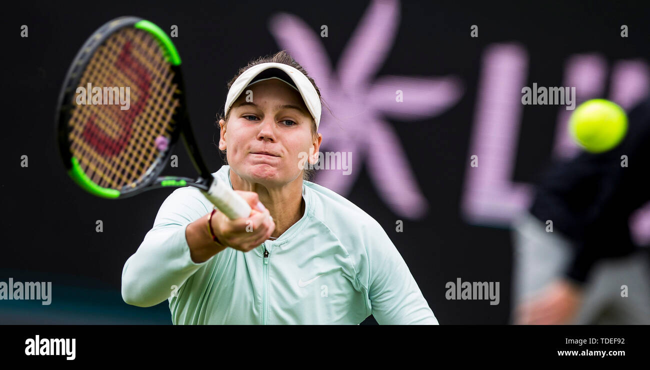 Rosmalen, Netherlands. 15th June, 2019. ROSMALEN, Tennis Libema Open 2019,  WTA and ATP tournament, 15-06-2019, Autotron Rosmalen, panoramic view of  the centre court Credit: Pro Shots/Alamy Live News Stock Photo - Alamy