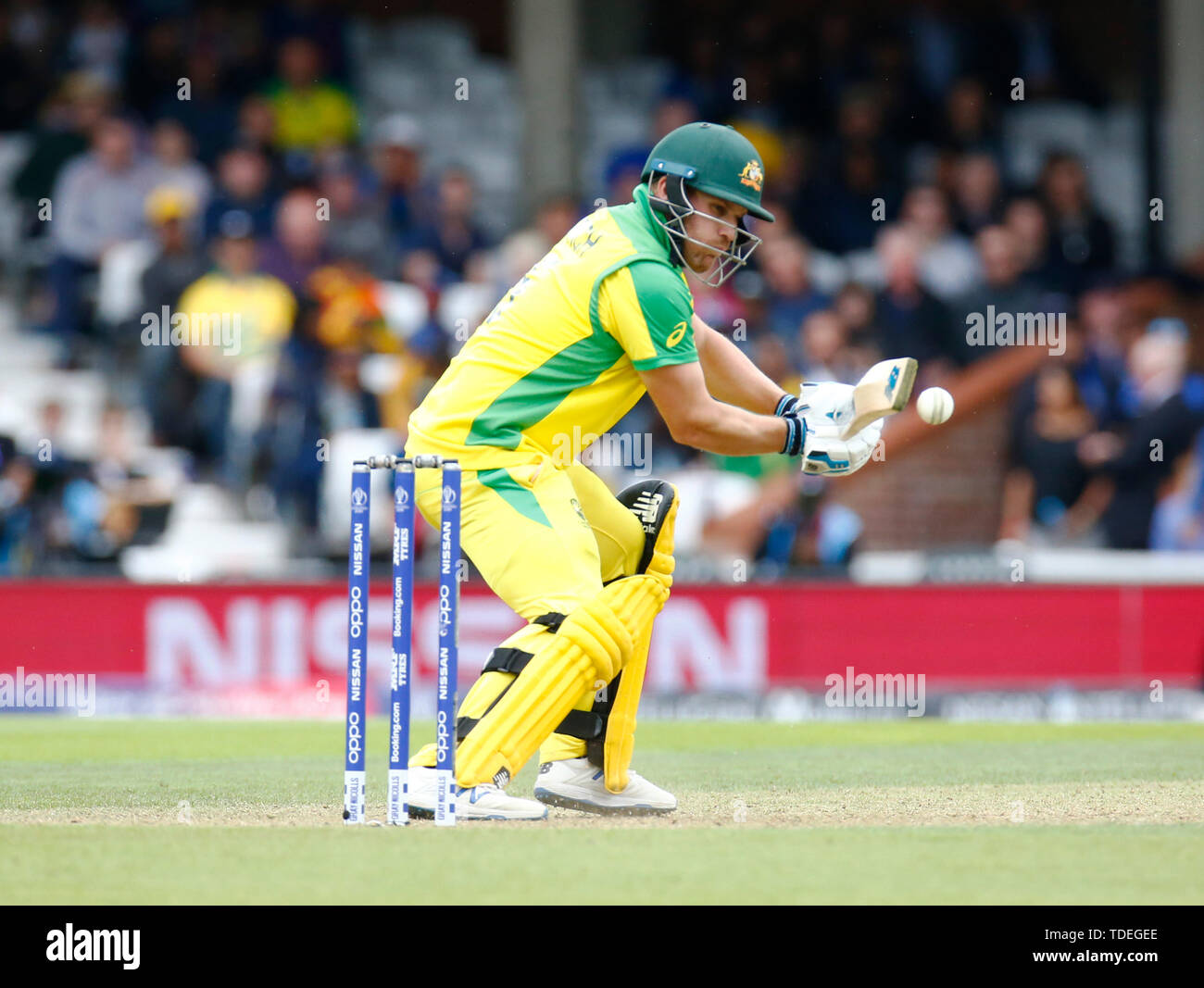 London, UK. 15th June, 2019. LONDON, England. June 15: Aaron Finch of Australia during ICC Cricket World Cup between Sri Lanka and Australia at the Oval Stadium on 15 June 2019 in London, England. Credit: Action Foto Sport/Alamy Live News Stock Photo