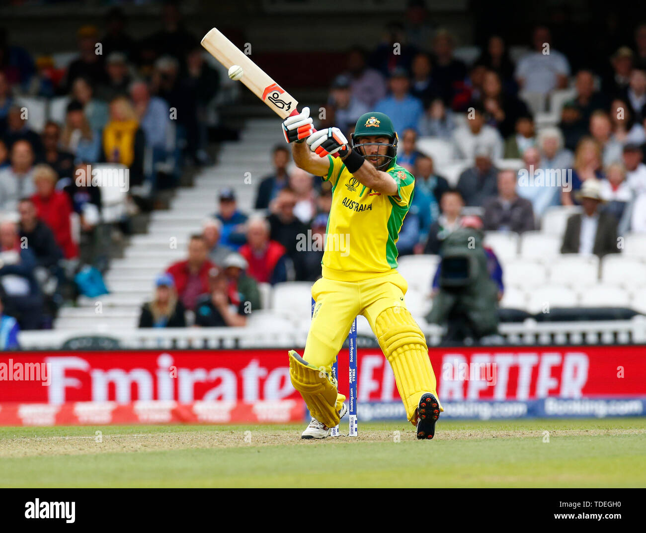 London, UK. 15th June, 2019. LONDON, England. June 15: Glenn Maxwell of Australia during ICC Cricket World Cup between Sri Lanka and Australia at the Oval Stadium on 15 June 2019 in London, England. Credit: Action Foto Sport/Alamy Live News Stock Photo