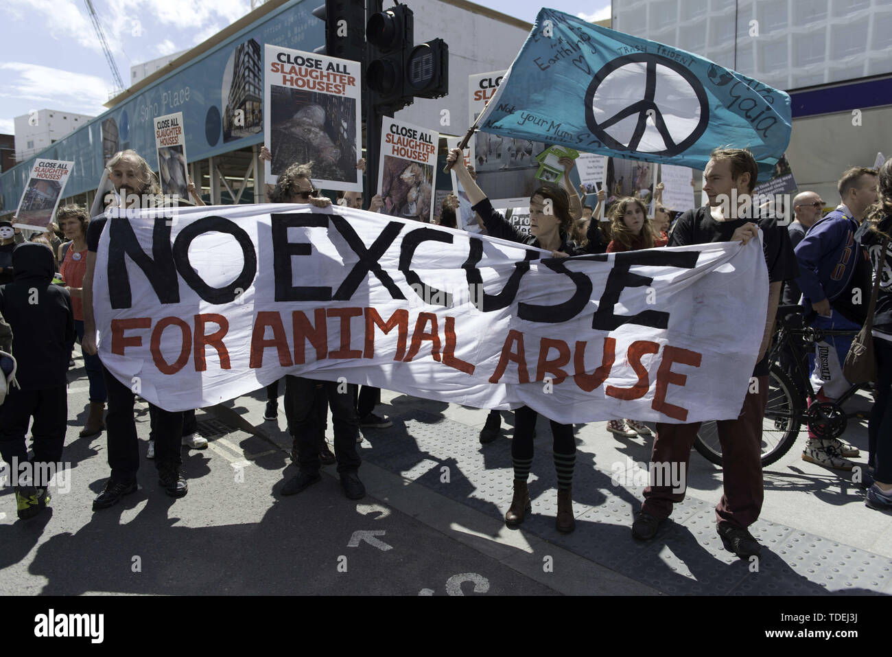 No excuse for animal abuse hi-res stock photography and images - Alamy