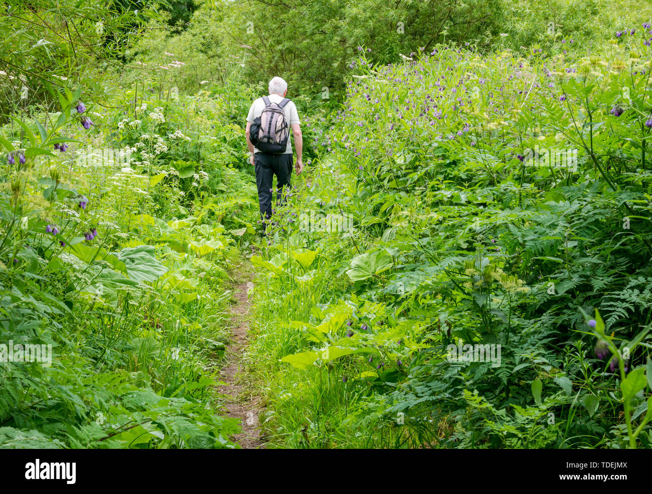 River walking route hi-res stock photography and images - Alamy