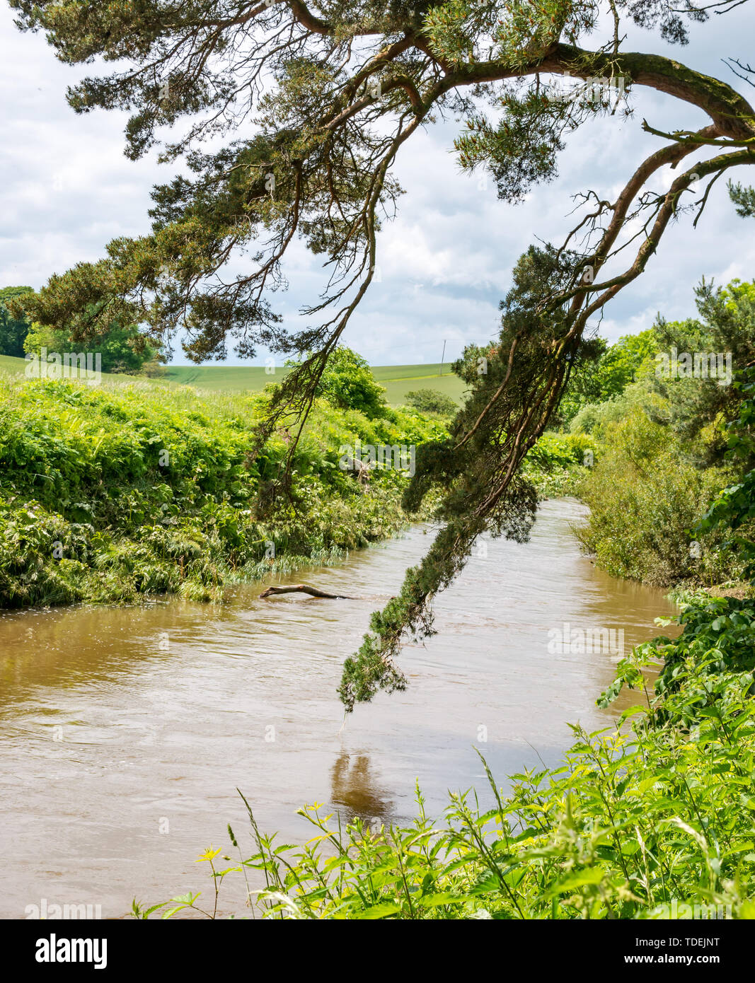 Evidence flood hi-res stock photography and images - Alamy