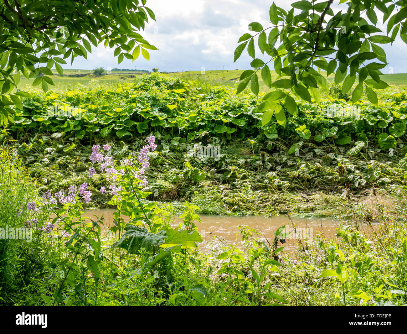 Evidence flood hi-res stock photography and images - Alamy