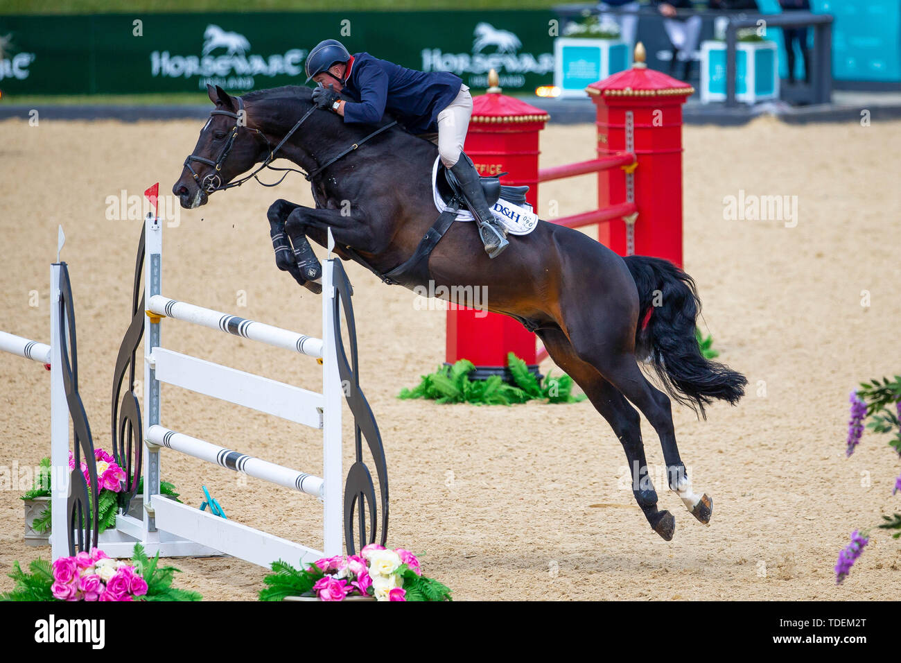 2019 winner john whitaker riding hi-res stock photography and images ...