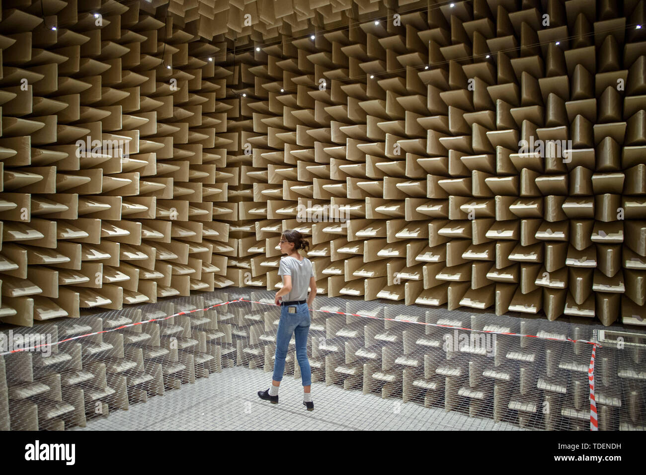 Berlin, Germany. 15th June, 2019. During the Long Night of the Museums at the Technical University of Berlin, a visitor stands in an anechoic room. Walls, ceiling and floor are manufactured in such a way that they absorb as much sound as possible and the room appears acoustically 'dead'. Credit: Gregor Fischer/dpa/Alamy Live News Stock Photo