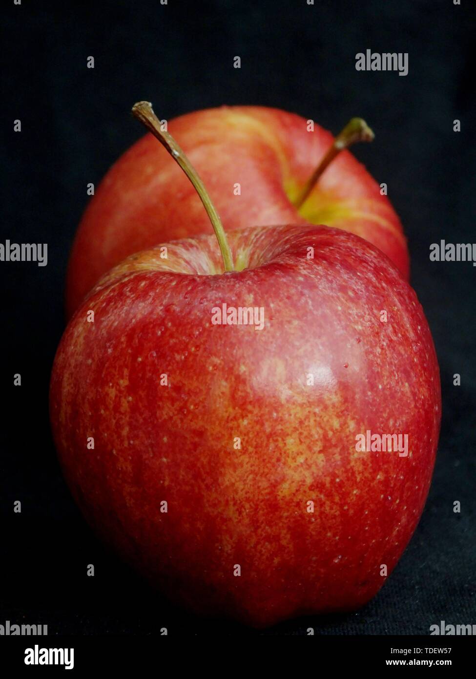 Green fruit, plant, red apple, apple, fruit, organic fruit Stock Photo