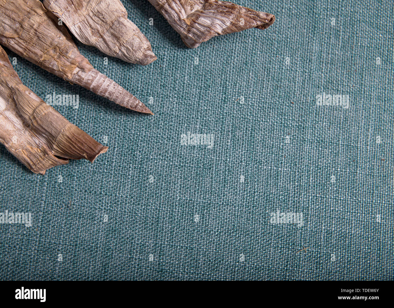 Dry bamboo shoots of high nutritional value Stock Photo Alamy