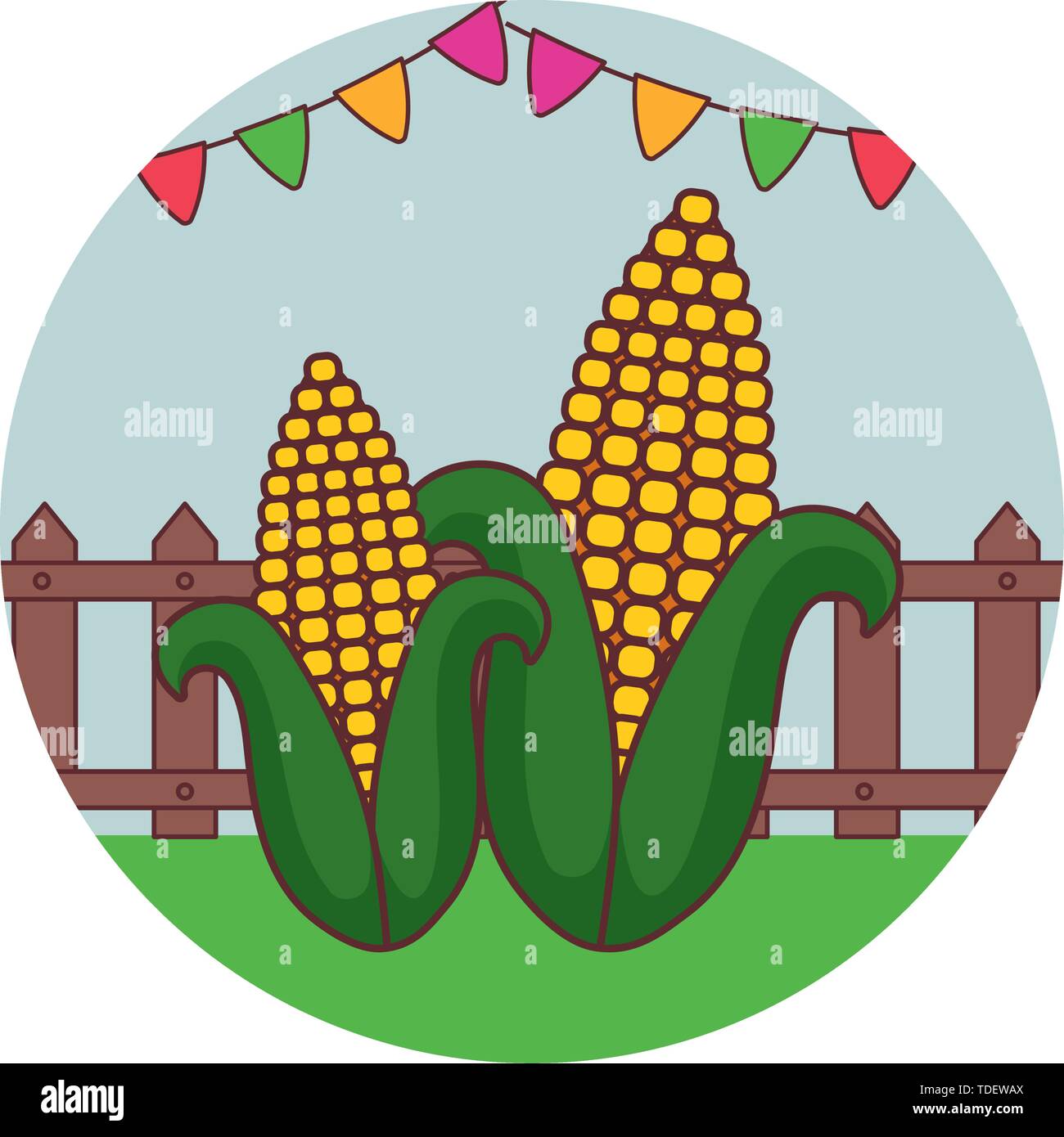 set of fresh cobs with garlands in frame circular vector illustration design Stock Vector