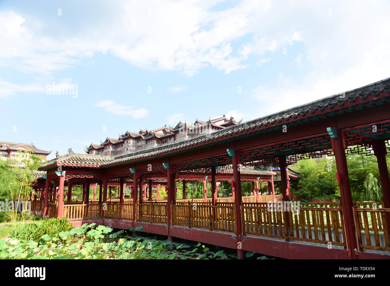 Antique architecture and lotus pavilion lotus Stock Photo Alamy
