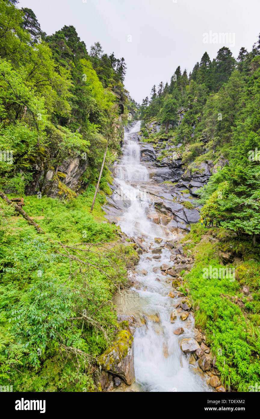 Li County Scenery of Bipanggou Scenic Area, Pu Tou Township, Li County, Aba ...