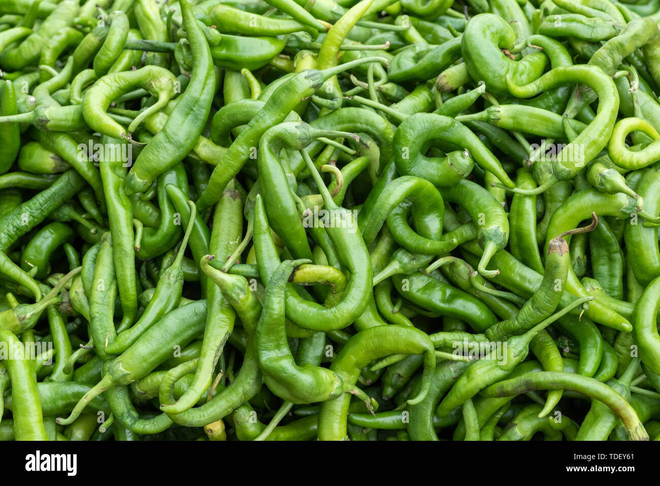 green peppers Stock Photo