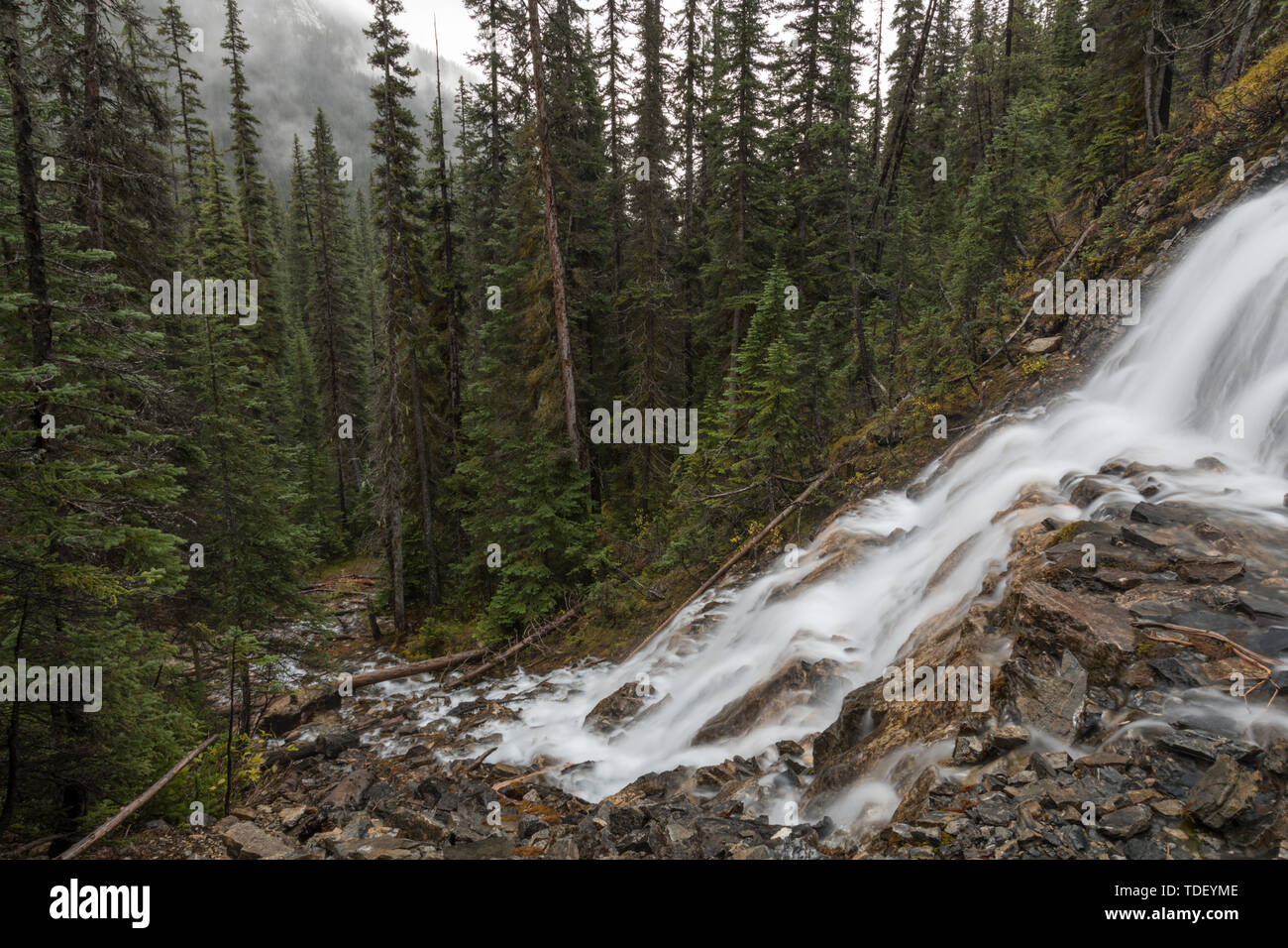 Waterfall, Point Lace Falls, Yoho Valley, Yoho Nationalpark, British Columbia, Canada Stock Photo