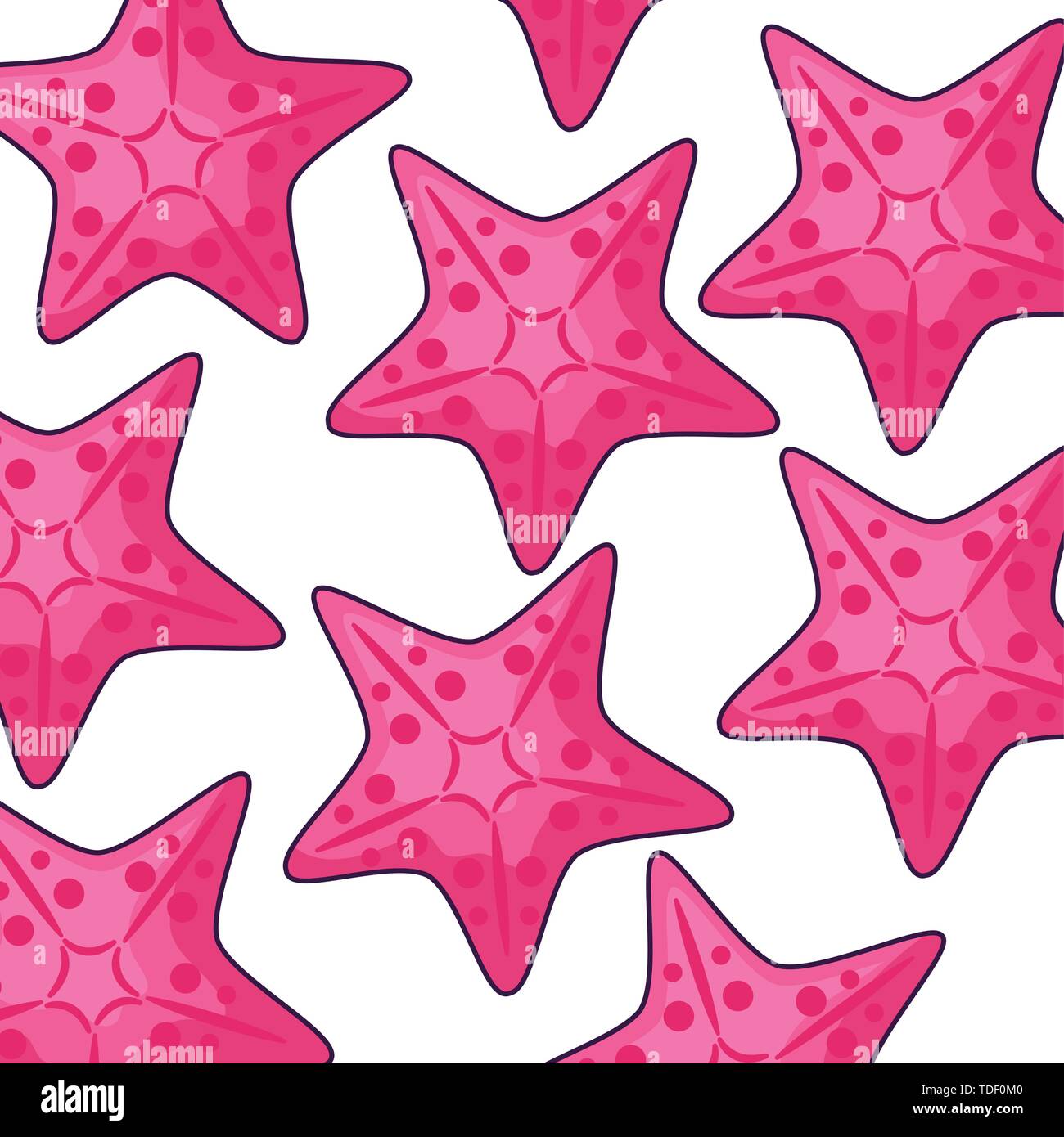 pattern tropical of starfish animals vector illustration design Stock ...