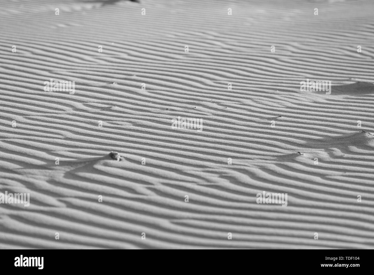 Coastal desert Black and White Stock Photos & Images - Alamy