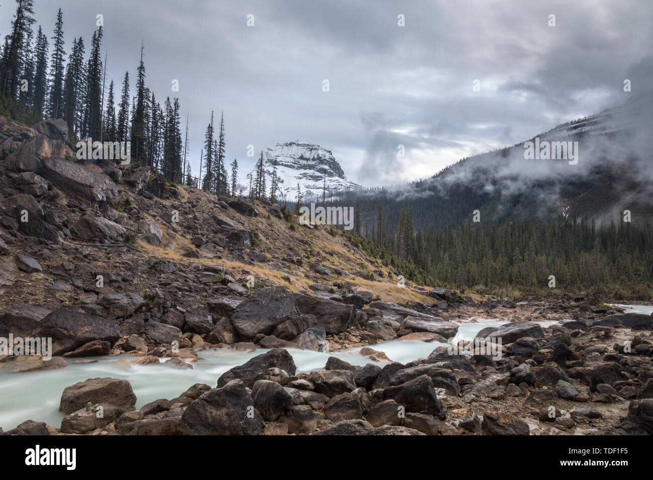 Mountain, Isolated Peak, Yoho Nationalpark, British Columbia, Canada Stock Photo