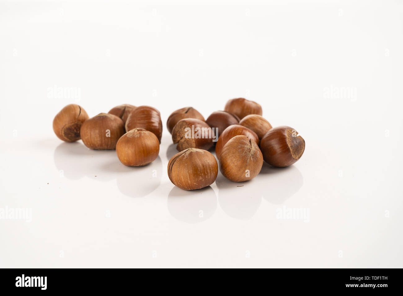 Northeast characteristic open hazelnut Stock Photo - Alamy