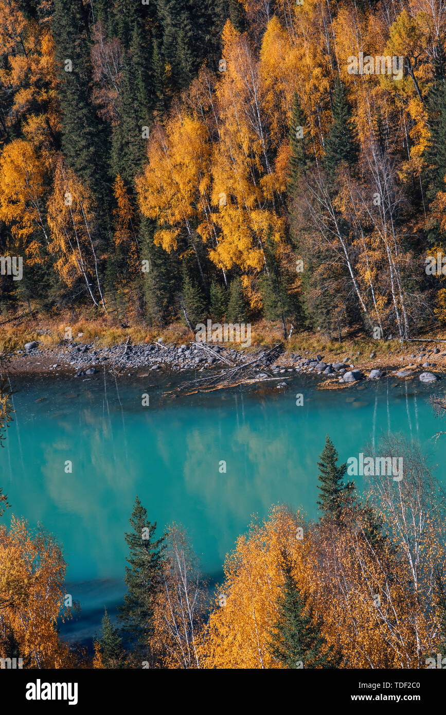 Autumn forest with lake Stock Photo - Alamy