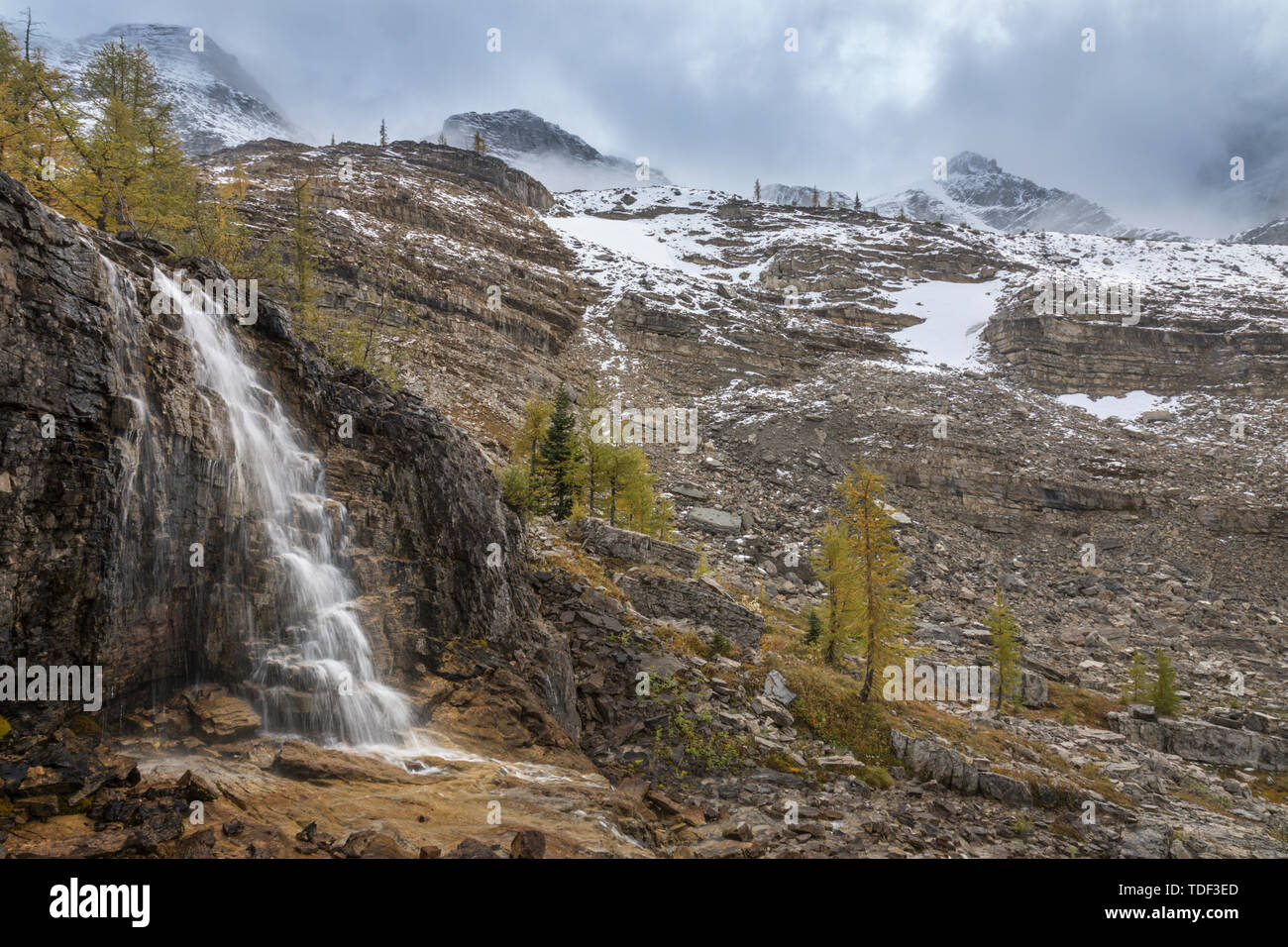 Waterfall in the Mountains, East Kootenays, Rocky Mountains, British Columbia, Canada Stock Photo