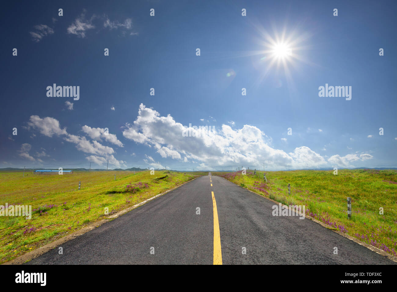 asphalt road through the green field and clouds on blue sky in s Stock ...