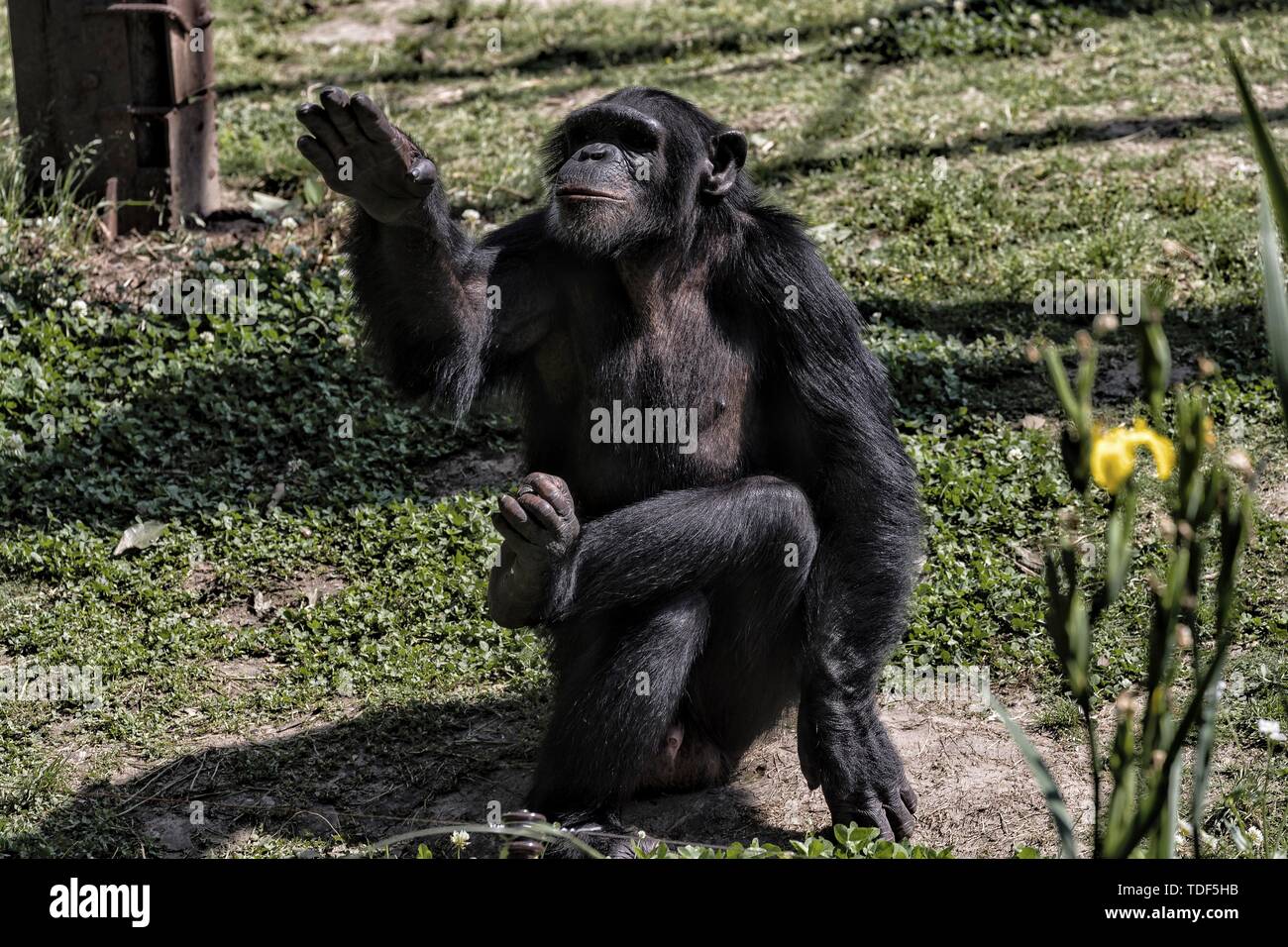 Moments in nature hi-res stock photography and images - Alamy