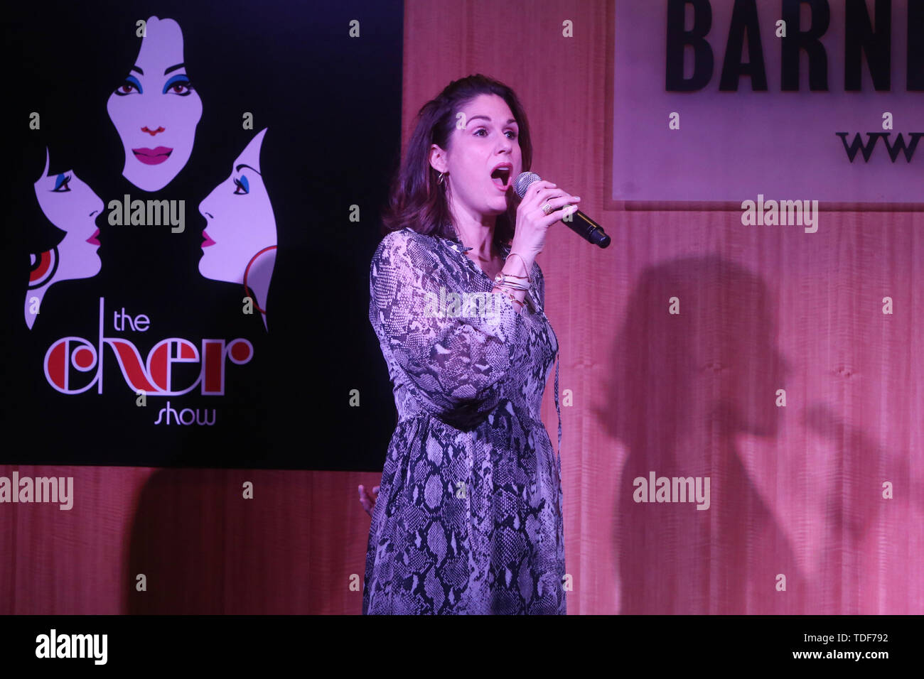 The Cast Of The Cher Show Celebrate Their Original Cast Recording