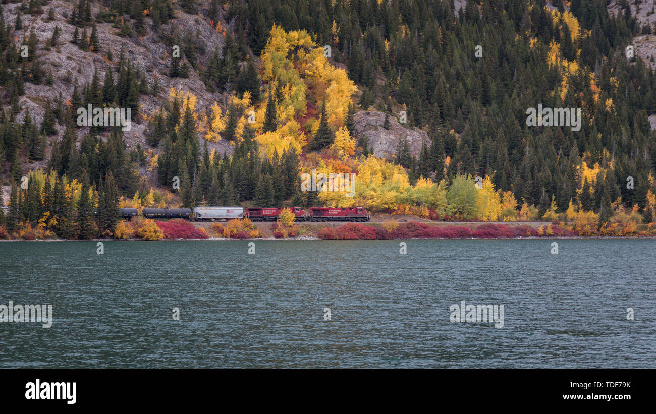 Train in fall color, Canadian Pacific Train, Crowsnest Lake, Alberta, Canada Stock Photo