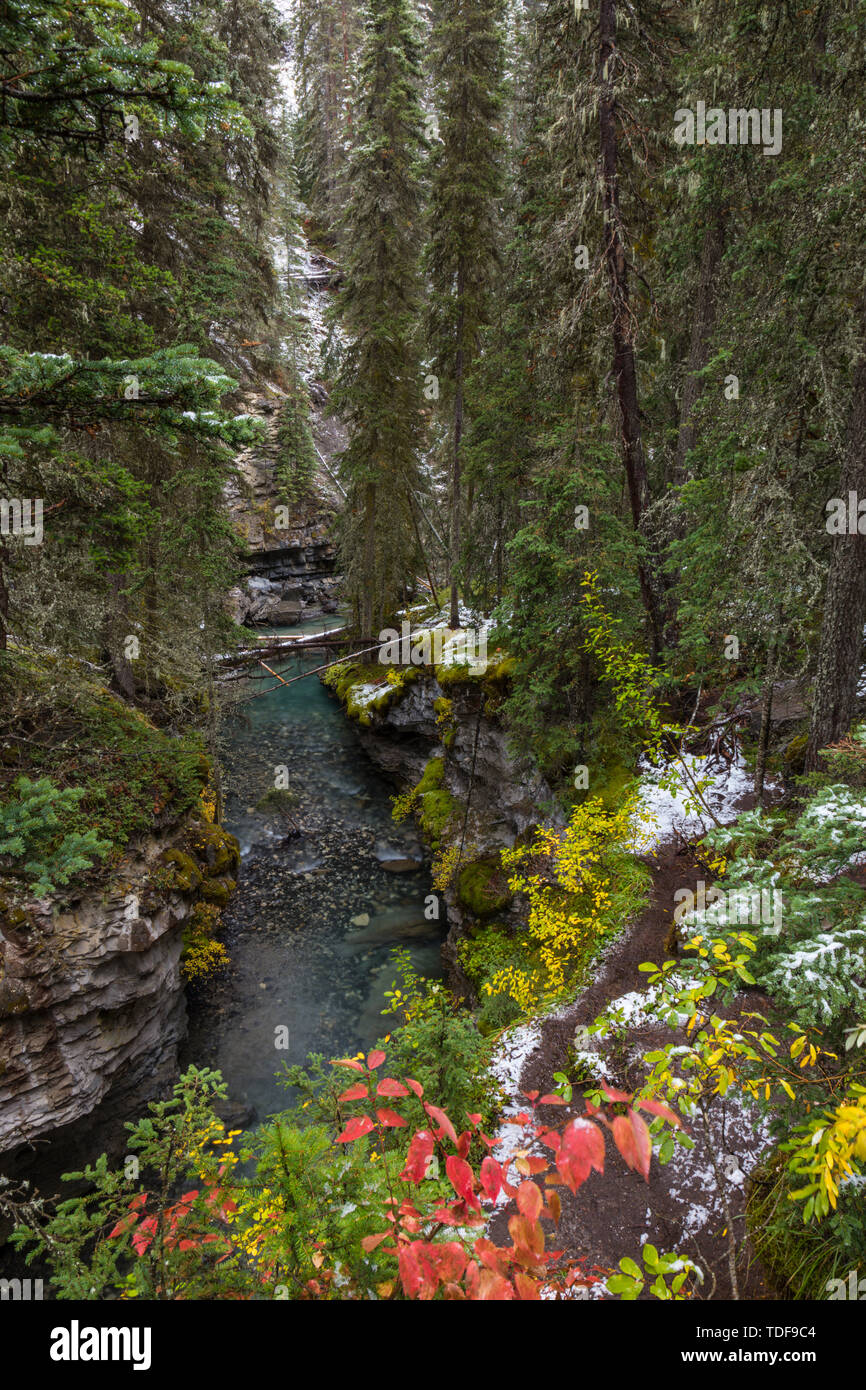Johnston Canyon, Bow Valley Parkway, Banff Nationalpark, Alberta, Canada Stock Photo