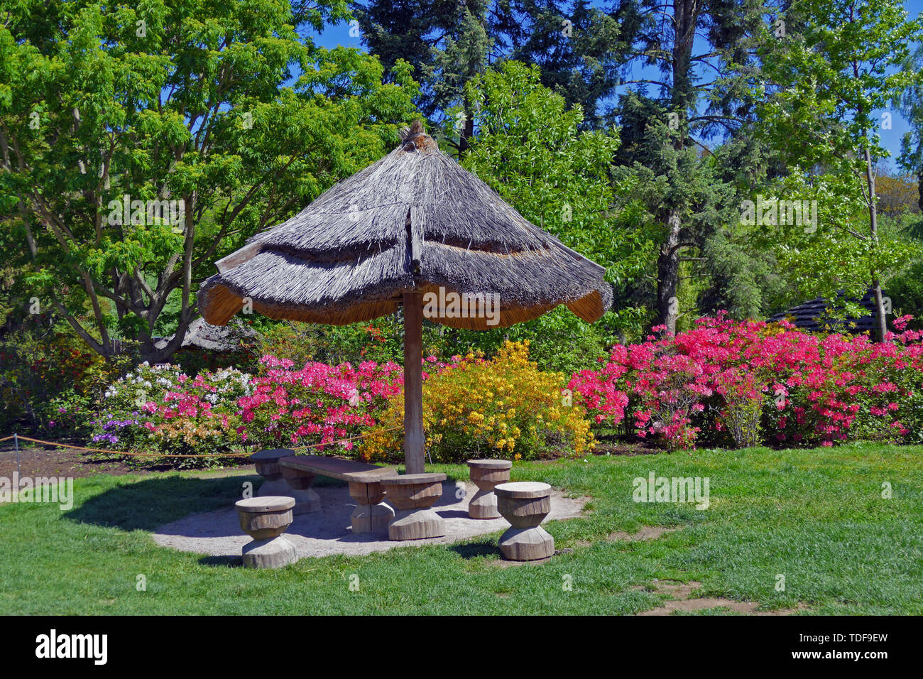 Seating with wooden chairs and parasol in flower garden garden Stock Photo