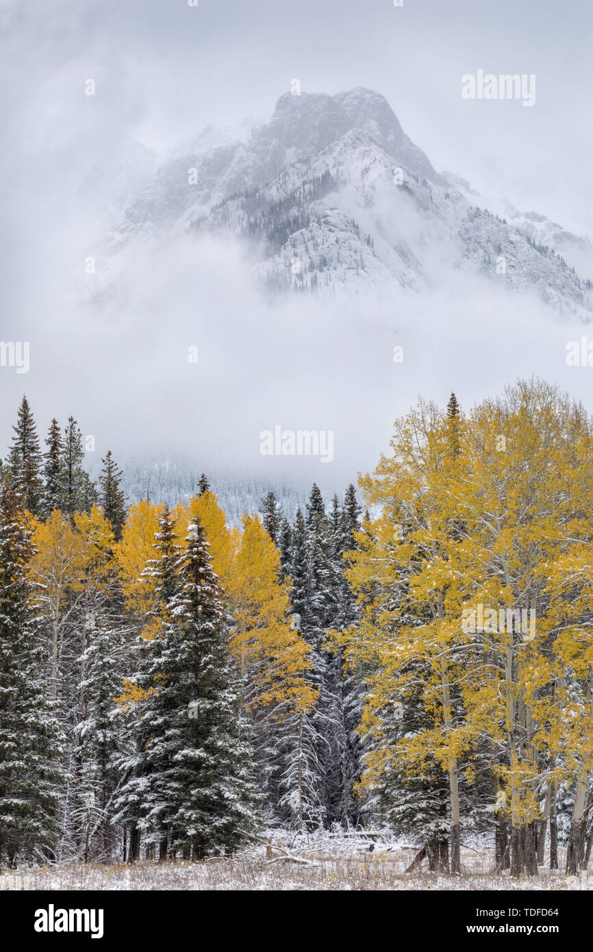 Winter begin in Banff Nationalpark, Bow Valley Parkway, Alberta, Canada Stock Photo