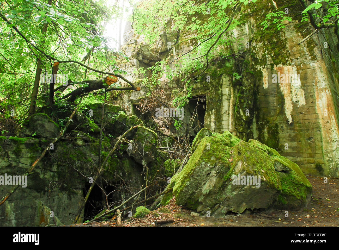 Adolf Hitler's bunker and air-raid shelter in Wolfsschanze (Wolf's Lair ...