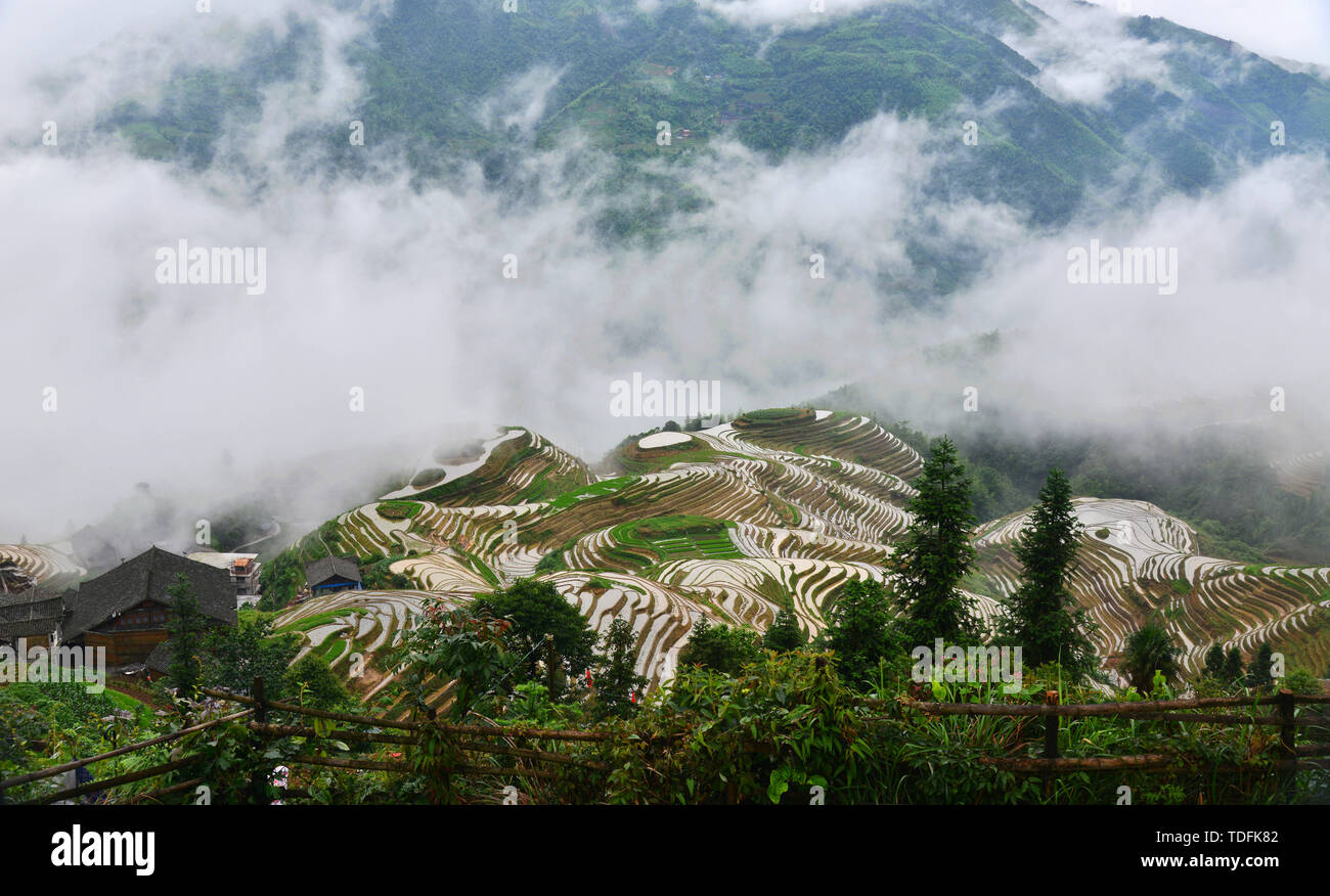 Guangxi dragon ridge terraces beautiful world Stock Photo - Alamy
