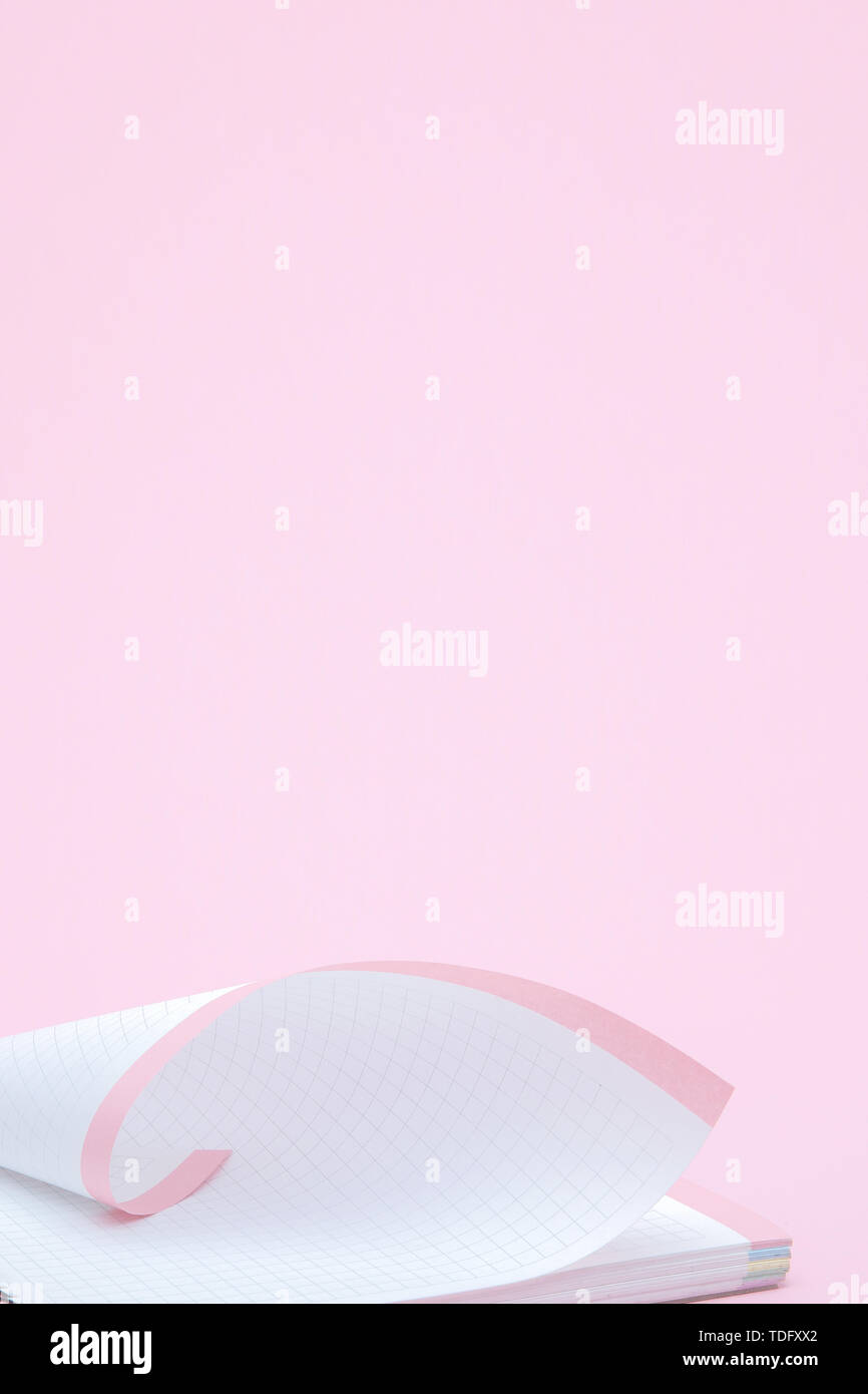 Pink paper, partially rolled up, close-up on a pink background Stock ...