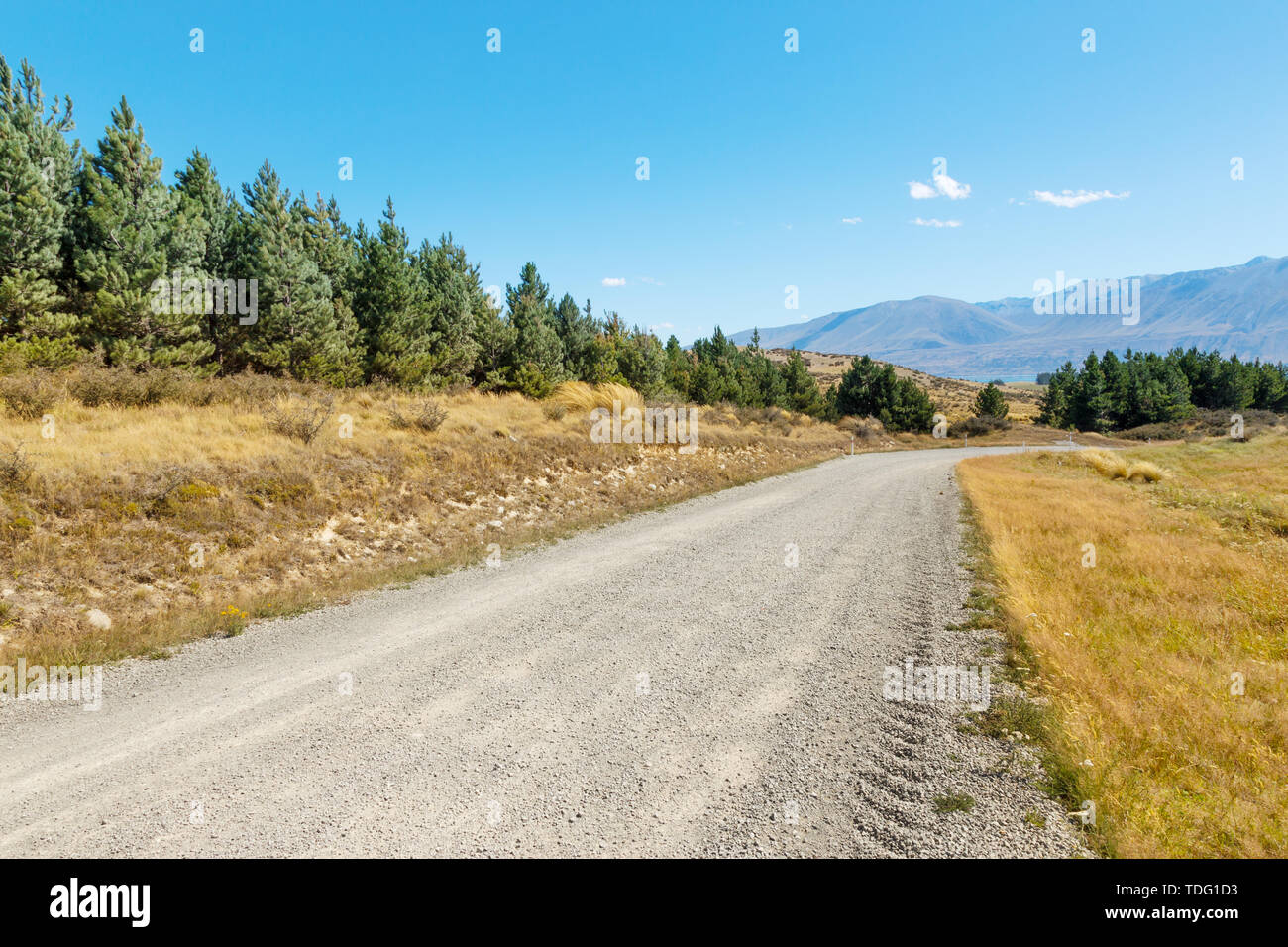 empty rural road through pasture in fine day in new zealand Stock Photo