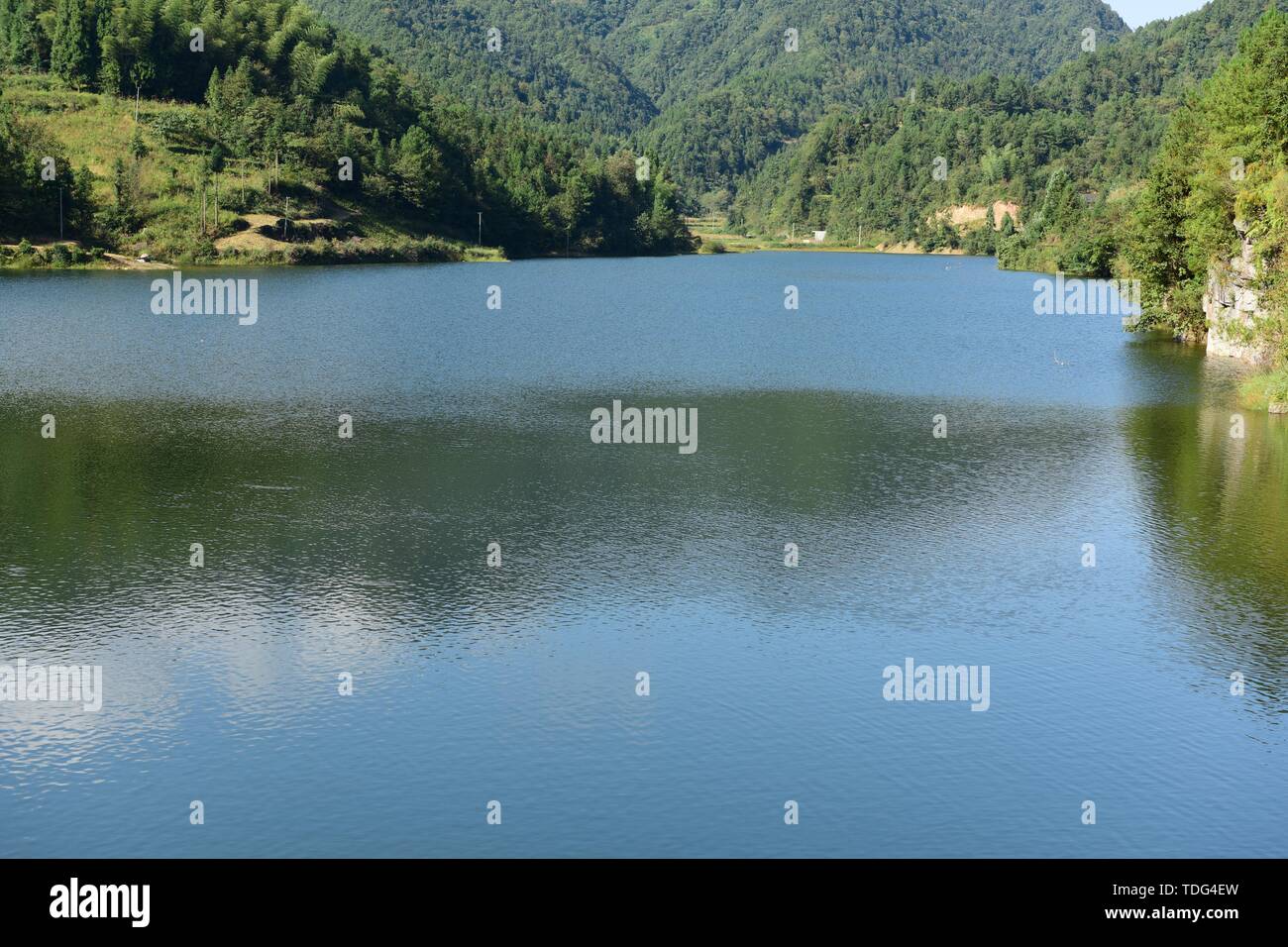 fish ponds Stock Photo