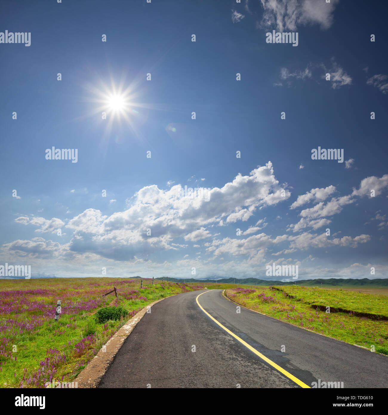 asphalt road through the green field and clouds on blue sky in s Stock ...