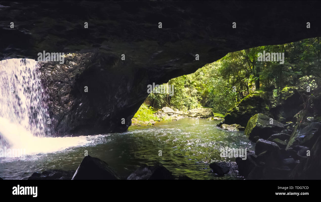 looking out from the cave at natural bridge in springbrook national park on the gold coast hinterland Stock Photo