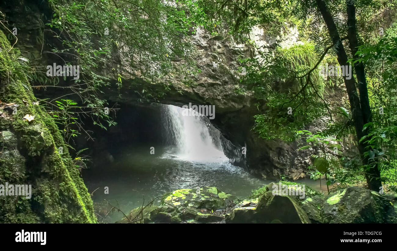 natural bridge in springbrook national park in the gold coast