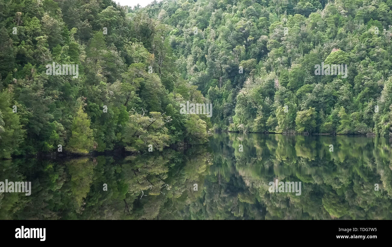 Temperate Rain Forest High Resolution Stock Photography and Images - Alamy
