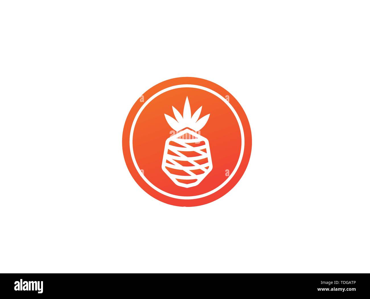 ananas fruit in a shape, pineapple for logo design illustration Stock Vector