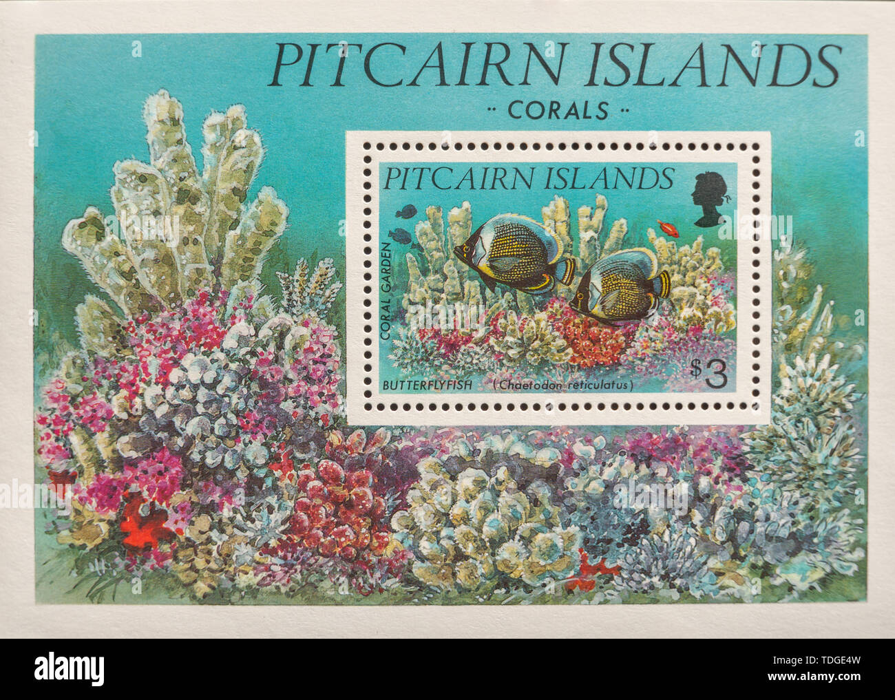A macro image of a commemorative Pitcairn Islands £3 1994 Corals Stamp and mini sheet. Stock Photo